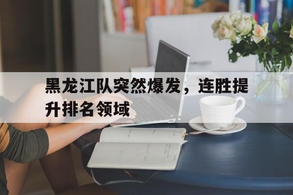 黑龙江队突然爆发，连胜提升排名领域的简单介绍